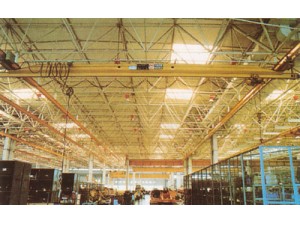 可以設(shè)計(jì)環(huán)行吊、手動(dòng)單梁